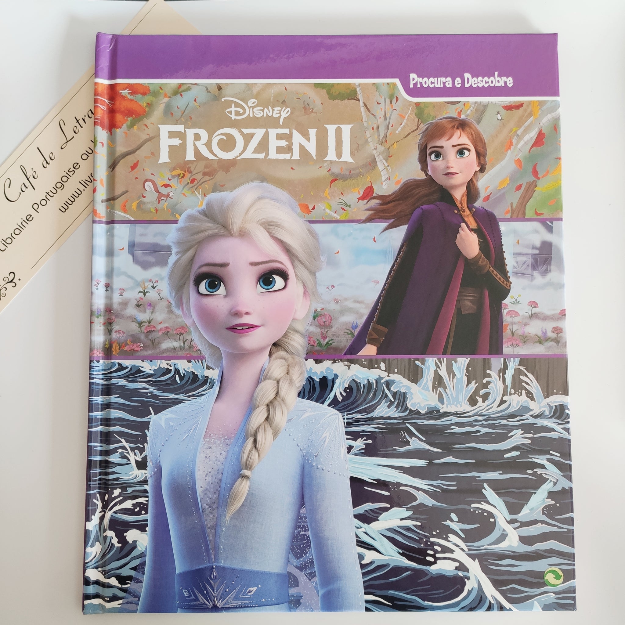 Frozen II - Procura e Descobre