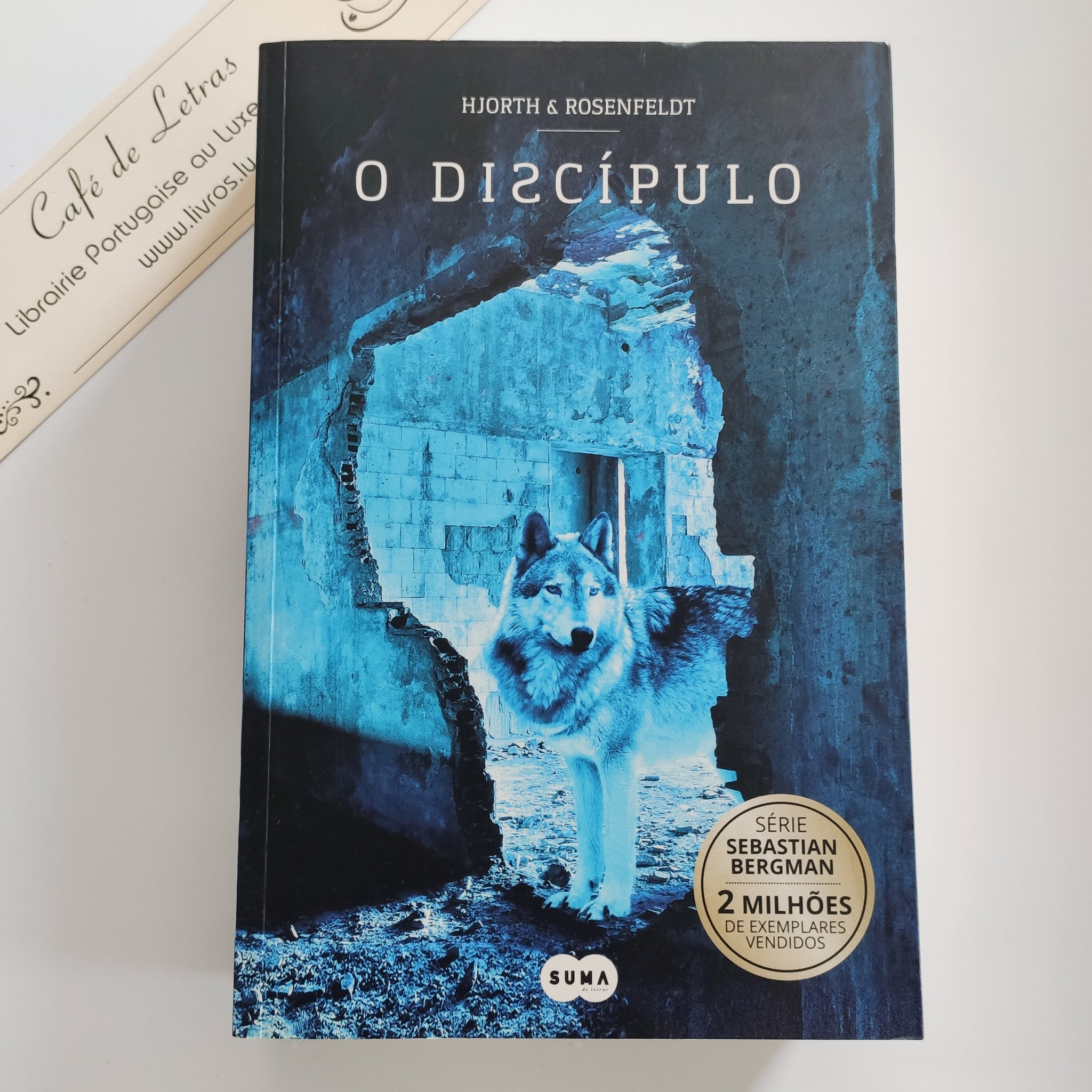 O Discípulo - Série Sebastian Bergman - volume 2
