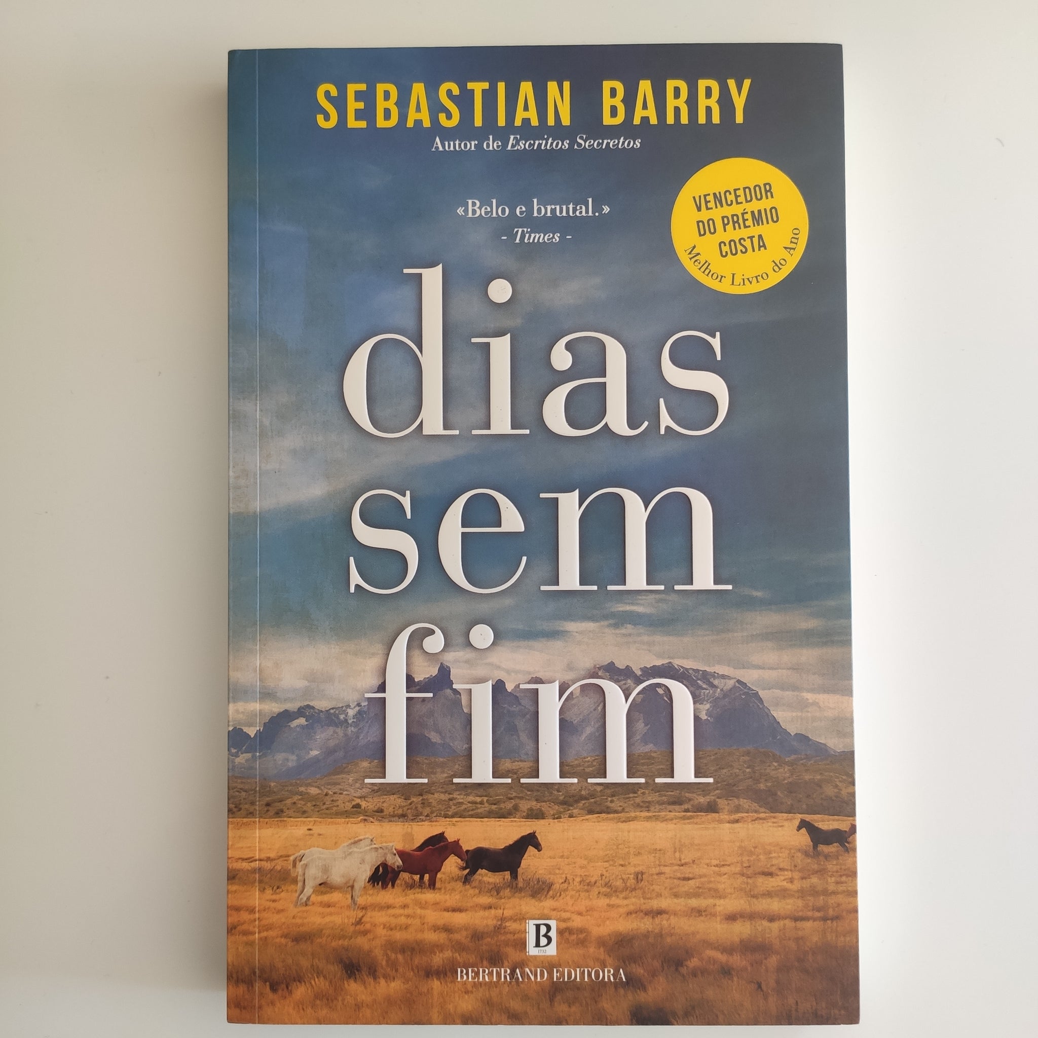 Dias sem Fim
